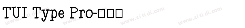 TUI Type Pro字体转换